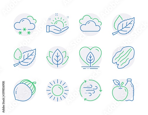 Nature icons set. Included icon as Acorn, Sunny weather, Cloudy weather signs. Sun, Pecan nut, Leaf symbols. Organic tested, Leaf dew, Wind energy. Local grown, Apple line icons. Vector
