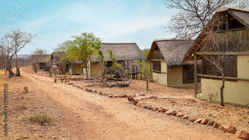 Safari camp lodges in the African bush, Balule Game Reserve, South Africa photo
