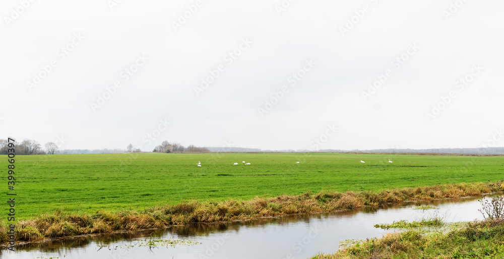 Naklejka premium Landscape of the area. view of the meadow with the river