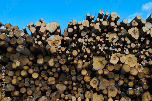 stack of firewood