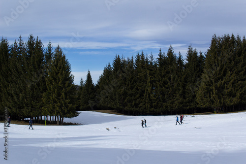 Alps mountains wintery white snow pine tree forest winter ski resort european alp 