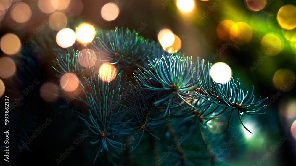 Branches of New Year's green tree with bokeh lights. Green festive background, golden bokeh. Narrow banner, festive background.