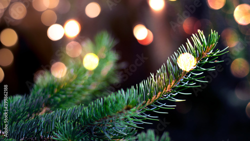 Branches of New Year's green tree with bokeh lights. Green festive background, golden bokeh. Narrow banner, festive background.