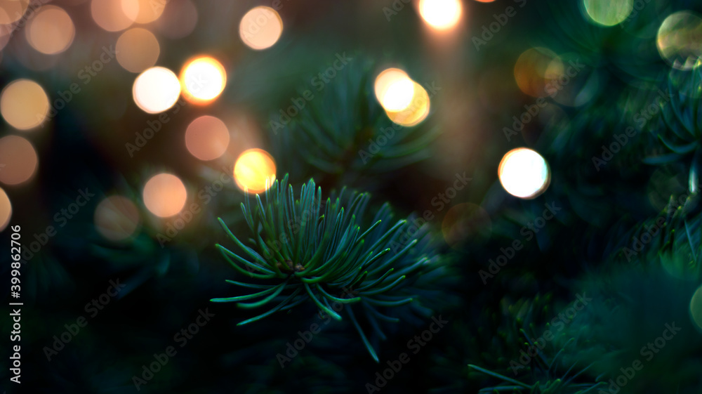 Branches of New Year's green tree with bokeh lights. Green festive background, golden bokeh. Narrow banner, festive background.