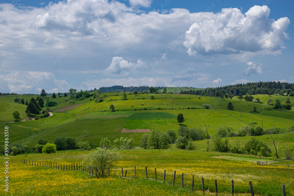 landscape with field and blue sky