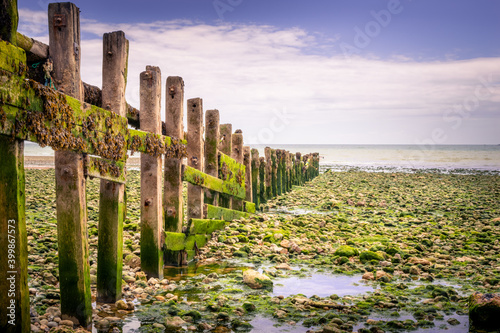 Playa rocosa cubierta de algas tras la marea baja en el parque natural de las Seven Sisters Inglaterra