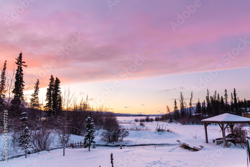 Stunning pink winter sunrise with pastel, purples skies sky in northern Canada from winter view. Taken in Yukon Territory, northern CAD in December. 