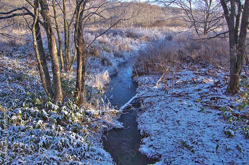 冬の森を流れる小さな川