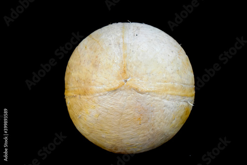 The coconut is peeled off and is white, on a black background.
