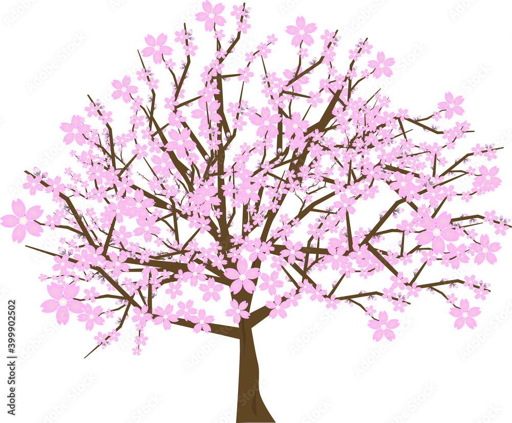 Naklejka premium 満開の綺麗で可愛い桜の木のイラスト