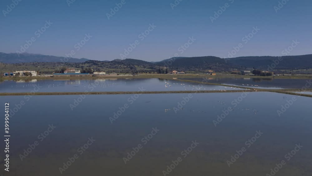 Big group Flock of Flamingo birds In Flight Over lake, aerial drone flight Lesbos Island, Greece - panning drone shot of flamingos Big group Flock of Flamingo birds In Flight Over lake, aerial drone flight Lesbos Island, Greece - panning drone shot of flamingos