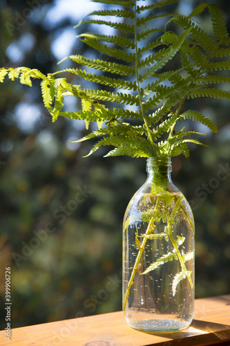 Fern leaves in a transparent vase bottle stand on an old wooden windowsill against the background of a green garden. Spring and summer rural landscape.