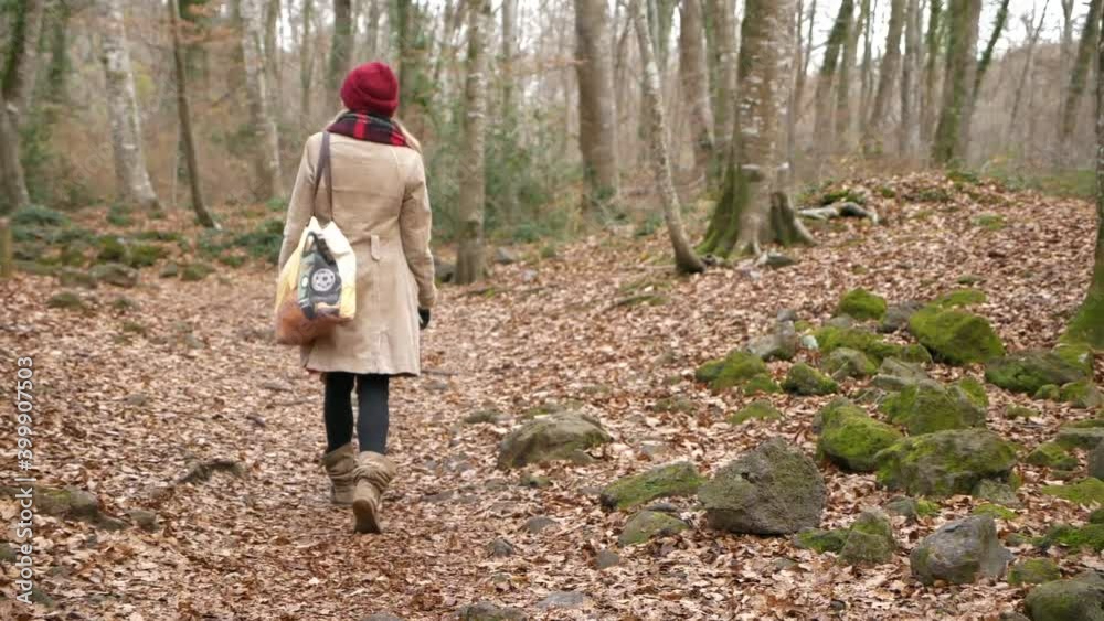 Back view of woman walking alone in beech wood in winter. Slow-motion Back view of woman walking alone in beech wood in winter. Slow-motion