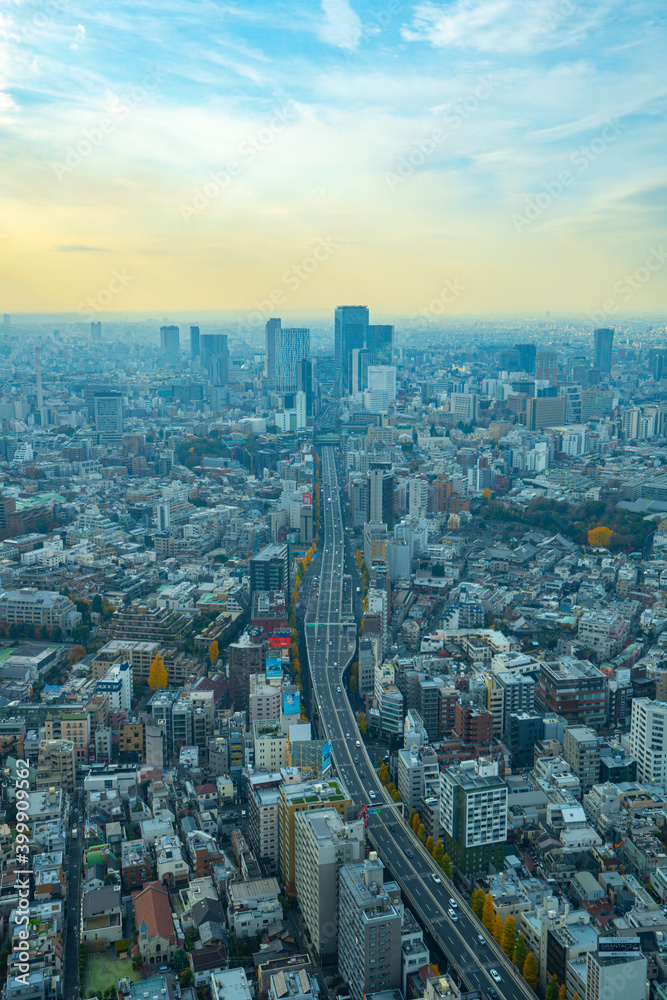 Fototapeta premium 【六本木ヒルズより】東京都内、都市景観/渋谷方面
