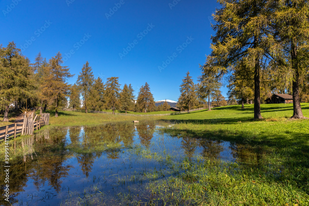 Spätsommer auf dem Salten, Südtirol Spätsommer auf dem Salten, Südtirol