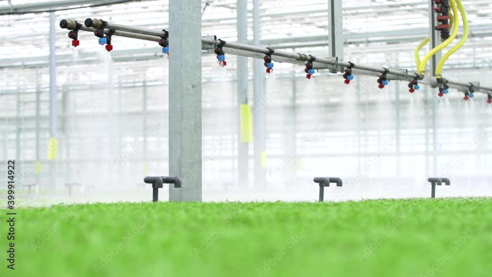 Farm greenhouse shot of equipment moves over plantation with green plants and sprays indoors spbd. Modern farming view of system moving over vegetables and irrigating them with clean water in large Farm greenhouse shot of equipment moves over plantation with green plants and sprays indoors spbd. Modern farming view of system moving over vegetables and irrigating them with clean water in large