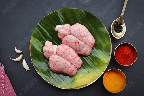 Uncooked Goat brain or Bheja or Mutton Brain.Perfect to cook bheja fry or bheja masala. Indian cooking ingredients. Copy space. photo