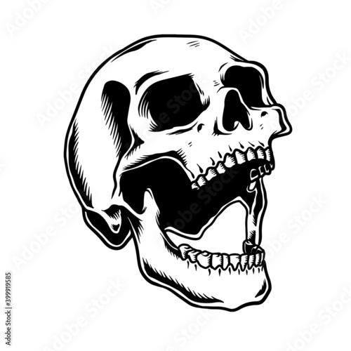 human skull illustration