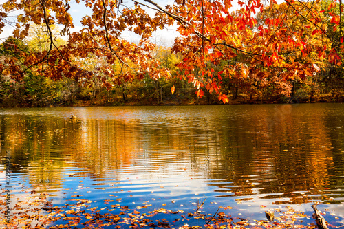 Fall colors and reflections in Birge Pond in Bristol, Connecticut. photo