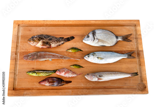 fishes for Fish soup photo