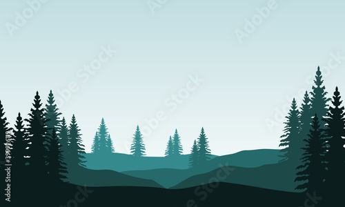 Nice scenery spruce in the morning bright. City vector