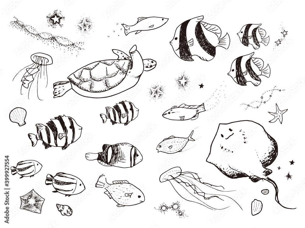 かわいいペン画の海の生き物 Drawing Of Cute Sea Creatures Stock Vector Adobe Stock
