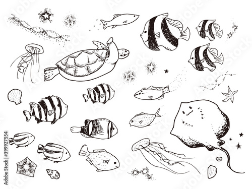 かわいいペン画の海の生き物 Drawing of cute sea creatures