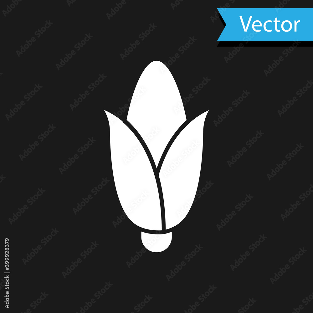 White Corn icon isolated on black background. Vector.