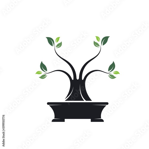 bonsai plant icon vector illustration design