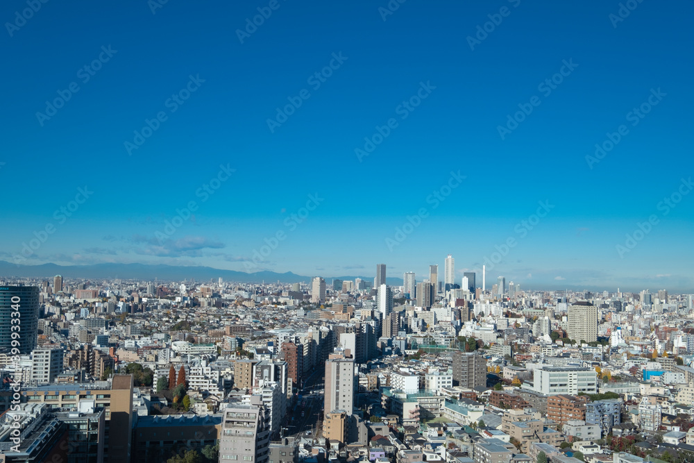 Fototapeta premium 【東京都】文京区シビックセンターより新宿・池袋方面【2020冬】