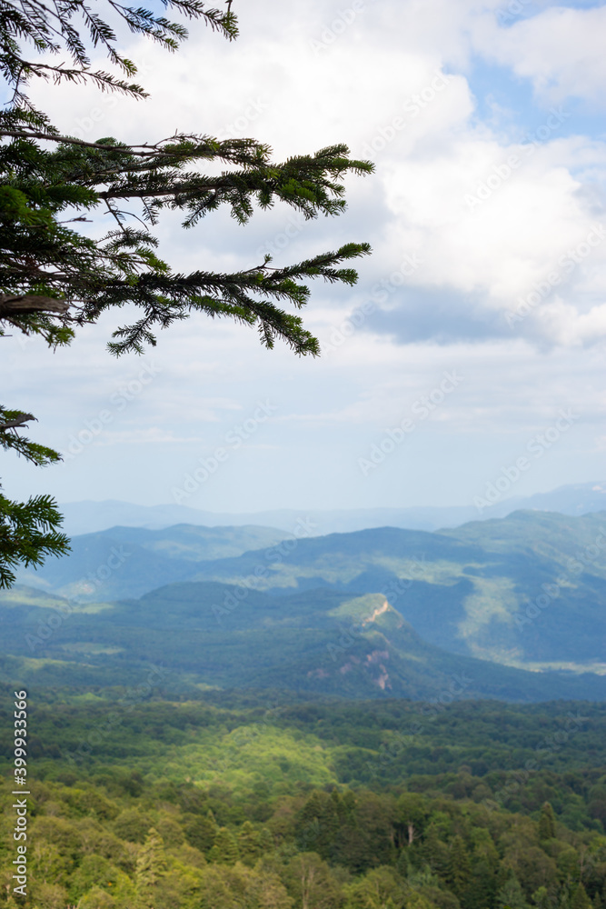 Beautiful mountain landscape: mountain slopes and peaks, sky in clouds, forest lowland, fir branches in the frame