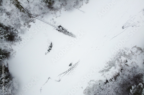 Winter landscape with forest river and snowy trees, aerial view