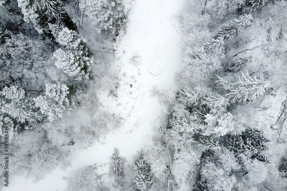 Fototapeta premium Winter landscape with forest river and snowy trees, aerial view