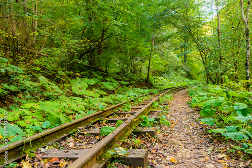 Abandoned railway in autumn mountain forest with foliar trees in Caucasus, Mezmay