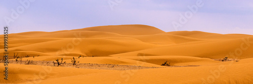 Bend of the ridge of a sand dune in the desert