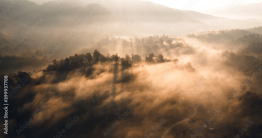 The sunrise and the fog in the forest