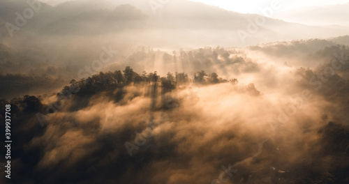 The sunrise and the fog in the forest