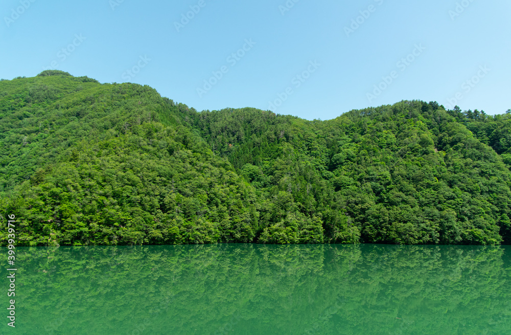 緑の森と緑の湖面 緑の森と緑の湖面