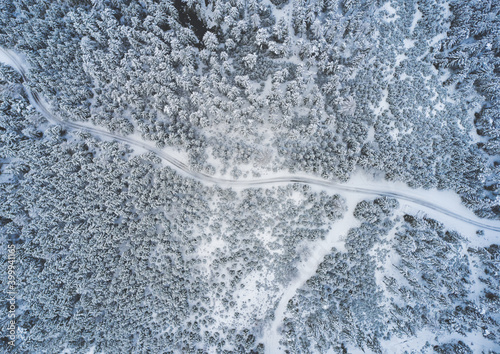 Aerial view of a snowy pine forest and road , hiking path. Austrian forests in Styria in winter photo