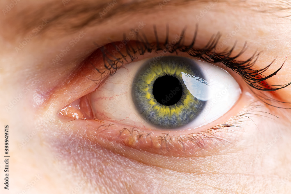 Fototapeta premium woman macro eye. macro photography of human eye