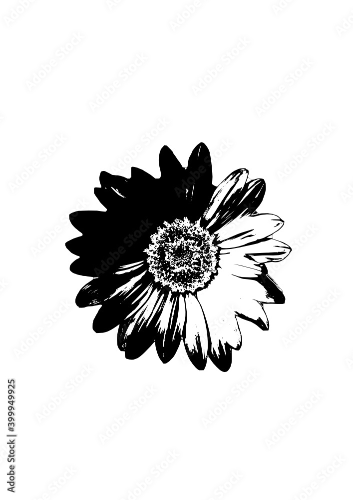 Fototapeta premium Blume