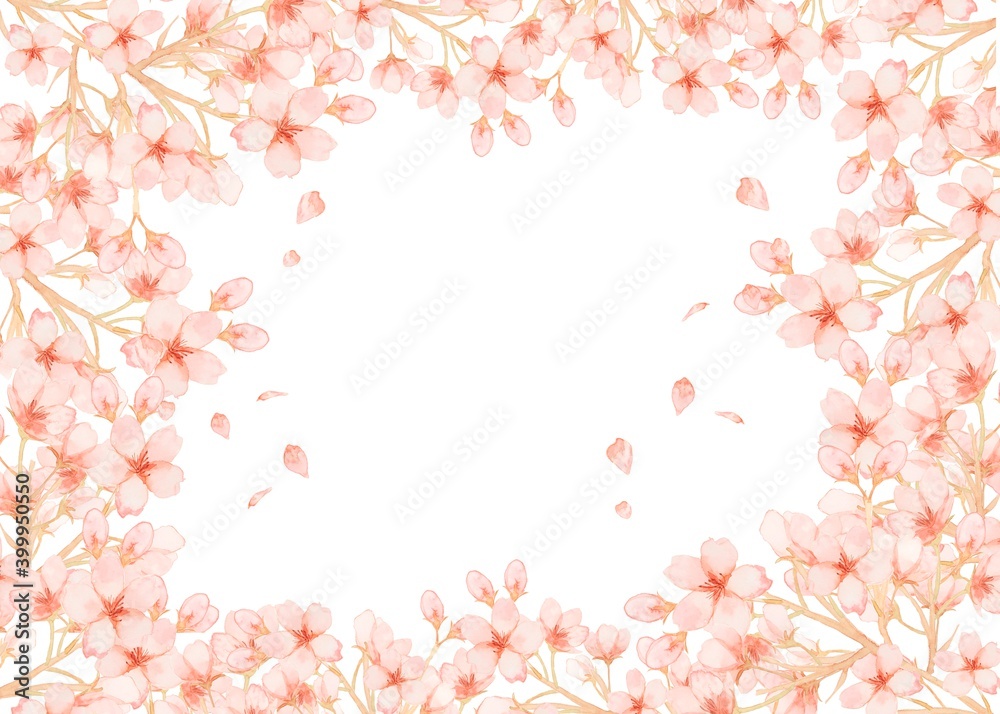 水彩さくら背景　Cherry-blossoms