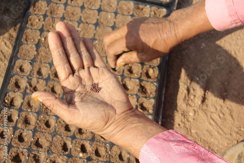 women sowing hands.