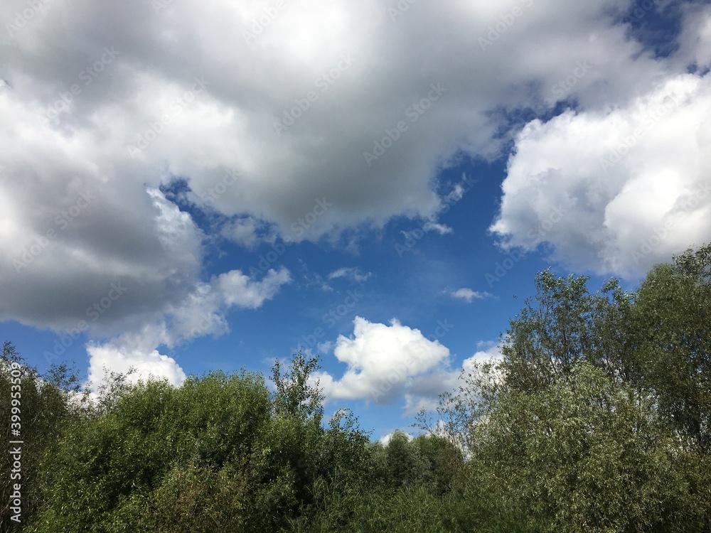 clouds in the sky clouds in the sky