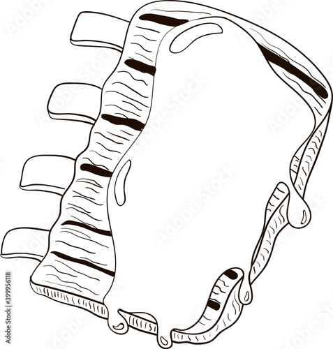 Grilled pork ribs with sauce. Hand Drawn doodle vector illustration.