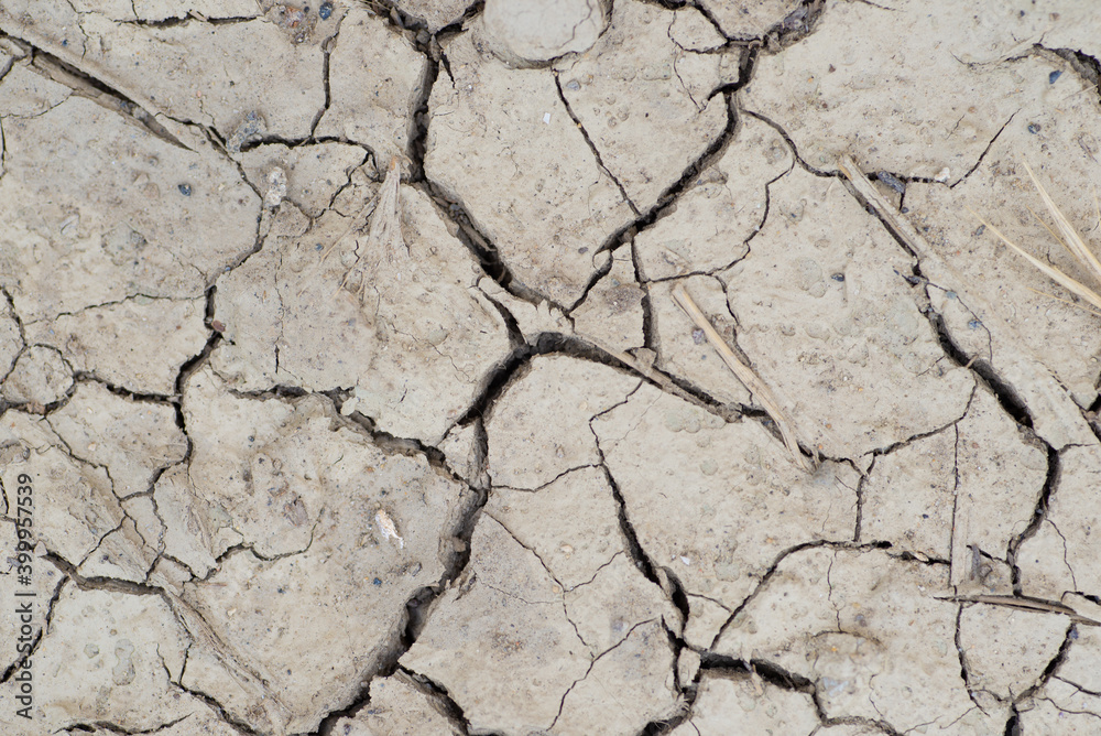Fototapeta premium Dry land. Cracks in the ground