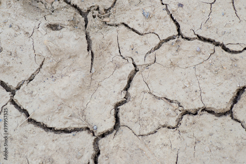 Dry land. Cracks in the ground
