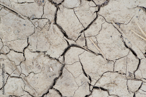 Dry land. Cracks in the ground