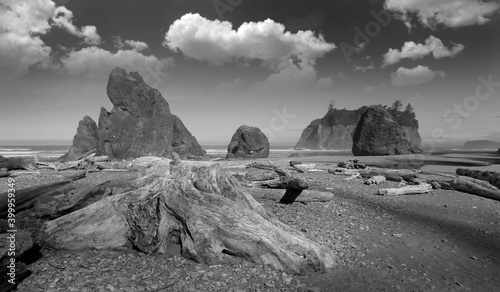 Ruby Beach in Washington State USA  photo