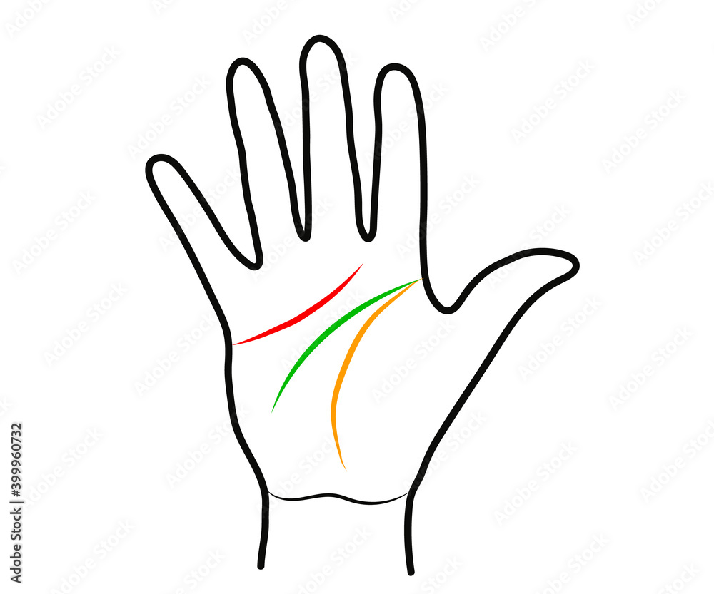 Obraz premium Hand and lines on the palm on a white background. Silhouette. Vector illustration. 